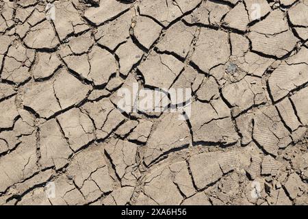 Dried earth soil abstract background texture. Top view Stock Photo