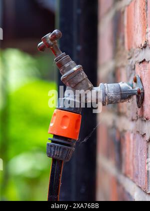 Outdoor faucet tap with connected hose and spider web on a brick wall, showcasing utility and rustic charm in a garden environment. Stock Photo