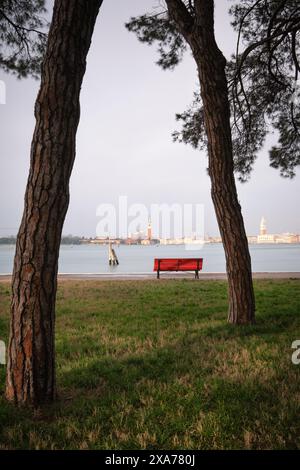 view of the Venice scenery from the Giradini della Biennale, Venice, Veneto, Italy, Europe Stock Photo
