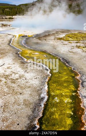 Serene landscape of a stream flowing in the woods at dawn Stock Photo ...