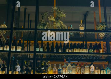 The various liquor bottles arranged on a bar counter Stock Photo