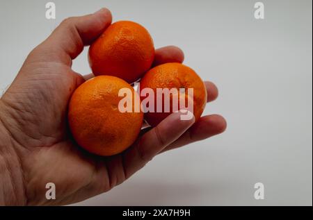 Hands holding three tangerines on light background Stock Photo