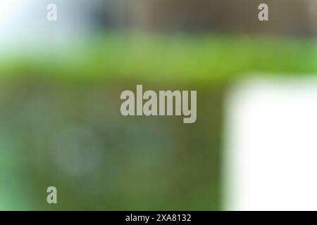 blurred bokeh for background defocused Abstract blurred image green tree in nature out of focus Stock Photo