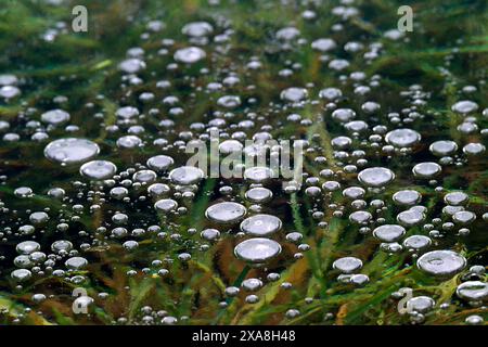 Air bubbles trapped in ice Stock Photo