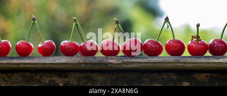 Red cherries with tails, blurred background Stock Photo