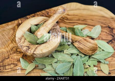 sweet bay laurel, sweet bay (Laurus nobilis), dried bay leaves with mortar and wooden spoon Stock Photo