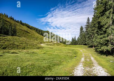 Winding road through lush green hills under a blue sky with wispy clouds, surrounded by dense forests in an alpine region. Austria Stock Photo