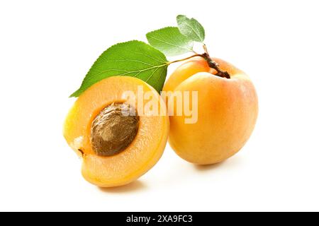 Apricots isolated on white background Stock Photo