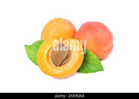 Apricots isolated on white background Stock Photo