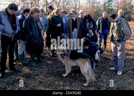 Press Trip Truffling in Cahors France circa 1995. French farmer used a Alsatian German Shepherd dog to smell out the truffles on his land. They will be sold onto Jacques Pedeyre Frances largest truffle dealer and exporter. Chefs and food writers from the UK on a fact finding weekend visit. Fay Maschler MBE in hat centre talking with in green jumper Antony Worrall Thompson English restaurateur and celebrity chef HOMER SYKES Stock Photo