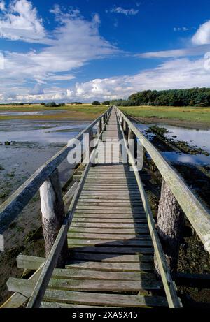 Aberlady Bay Local Nature Reserve, bridge over the Peffer Burn, leading to coastal nature reserve, East Lothian, Firth of Forth, Scotland. Stock Photo