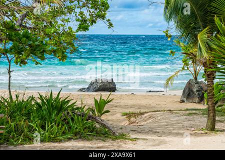 Rocky beach with seaweed-covered rocks and beach vegetation Stock Photo