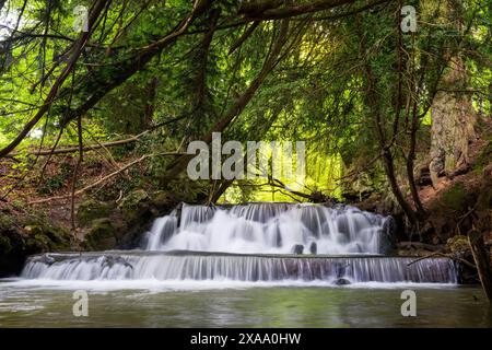 Waterfall in the forest Stock Photo