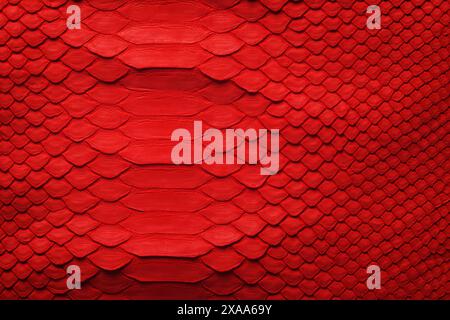 red python skin as background. snake skin texture with natural pattern Stock Photo