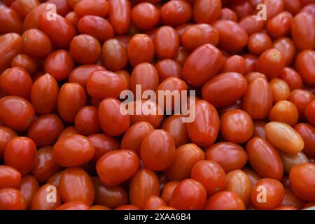A pile of vibrant red Roma tomatoes Stock Photo