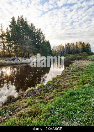 The Sun reflecting on water, grass, and trees by the river in a forest setting Stock Photo