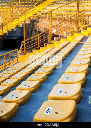 The rows of yellow seats arranged closely in a vacant stadium Stock Photo