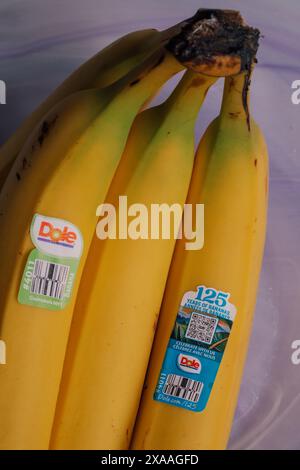 yellow Dole banana bunch with PLU bar code sticker, 125 year anniversary sticker Stock Photo