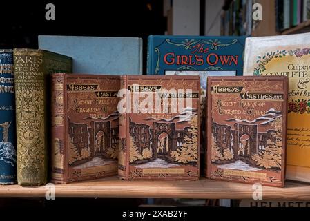 Selection of vintage secondhand books on display in a secondhand bookshop in Edinburgh, Scotland, UK. Stock Photo