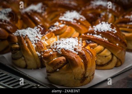 Several freshly baked cinnamon buns topped with pearl sugar lie close together on a baking tray in a bakery in Uppsala. These pastries are among the most popular treats of a Swedish fika, a coffee break with a snack that can last between 15 and 45 minutes. Drottninggatan, Uppsala, Uppsala County, Sweden. Stock Photo