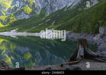 close-up photography of a dry tree stump on the upper Gosau lake shore with Austrian Alps mountains and reflection on background Stock Photo