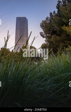 View of a modern office building in the financial center of Madrid surrounded by nature. concept of sustainable growth, sustainability and decarboniza Stock Photo