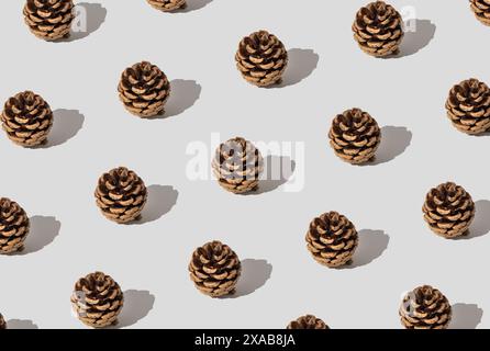Trendy autumn or fall pattern made with pinecones on white background. Minimal autumn objects composition. Nature flat lay. Season concept. Stock Photo