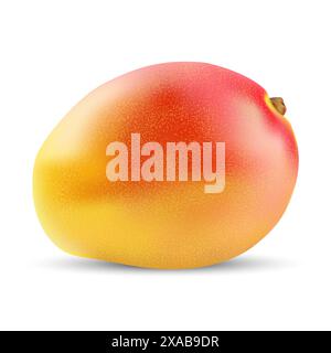 Vector image of mango fruit on a white background. Stock Vector