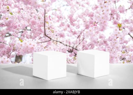 Two white cement cubic podiums against the background of blooming pink sakuraMockup for the demonstration of cosmetic products. Stock Photo