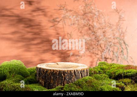 Wooden saw cut, round podium with green moss on a dark orange background. Still life for the presentation of products. Nature-inspired graphic design Stock Photo