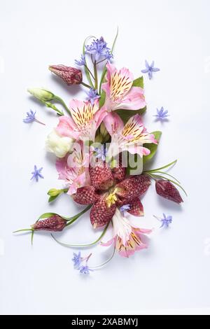 floral layout from pink alstroemeria and fritillaria meleagris hazel grouse flowers on a white background isolated. Top view, flat lay. Vertical photo Stock Photo