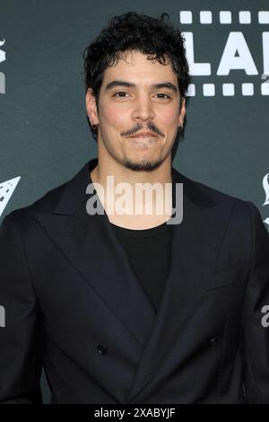 LOS ANGELES - MAY 29: Aaron Dominguez at the In the Summers Premiere at