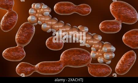 3D rendering of microorganisms which can produce carotenoids especially beta-carotene is the yeast named Rhodotorula. Stock Photo