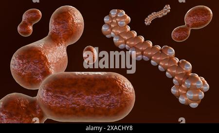 3D rendering of microorganisms which can produce carotenoids especially beta-carotene is the yeast named Rhodotorula. Stock Photo