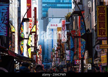 Ameyoko Shopping District, famous Ueno shopping street, Ueno, Tokyo, Honshu, Japan, Asia Copyright: CasparxSchlageter 1372-183 Stock Photo