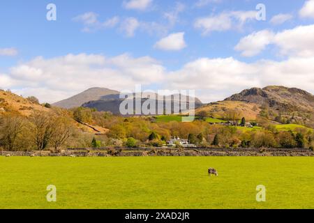 Brook House Mill in Boot village viewed from Dalegarth station of the Ravensglass-Eskdale Railway, Lake District National Park, Cumbria, England. GB. Stock Photo