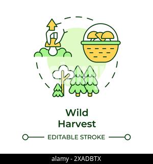 Wild harvest multi color concept icon Stock Vector