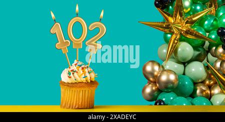 Birthday candle number 102 - Cupcake with decoration on a green background Stock Photo