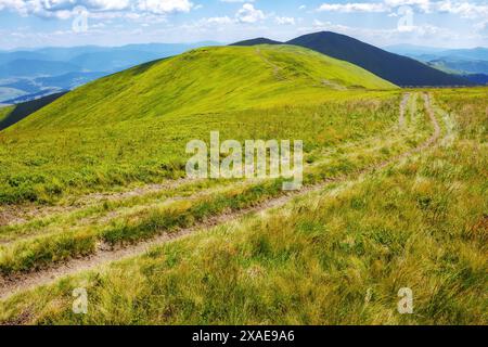 path through green grassy meadow. carpathian mountain landscape in summer. alpine scenery of ukrainian highlands on a bright sunny day. hiking borzhav Stock Photo