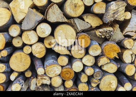 photography of tree trunk cuts in a pile, wooden texture background Stock Photo