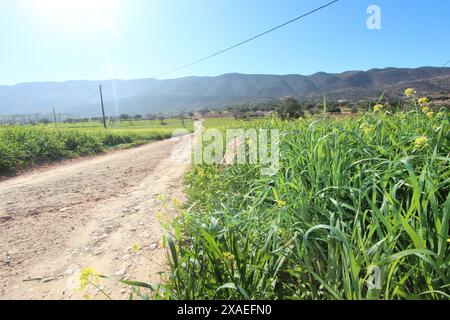 Morocco's southern Agadir landscape. Stock Photo