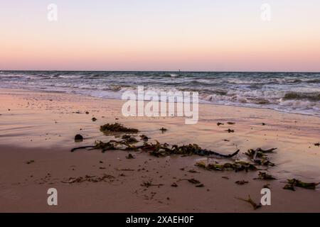 Early morning along the Mozambique coast with the pink light of the dawn sky reflecting on the wet sand Stock Photo