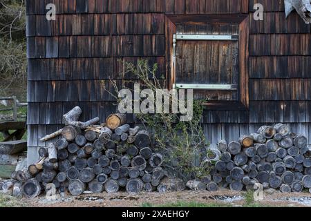 photography of a traditional dark wooden cabin on Alpine mountains with window closed with shutters and piles of firewood in a foreground Stock Photo