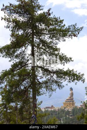 The statue of Buddha Dordenma, Chang Gewog, Thimphu, Bhutan Stock Photo