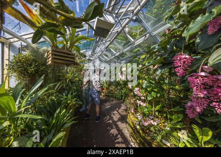 Greenhouse for tropical plants in the Uppsala Botanical Garden. Triangeln, Uppsala, Sweden Stock Photo