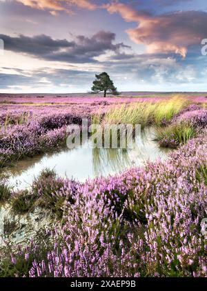 Ana Cross on Spaunton Moor, Rosedale, The North Yorkshire Moors ...