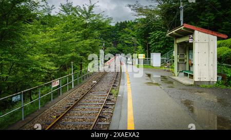 The train serving this station arrives approximately once every hour ...
