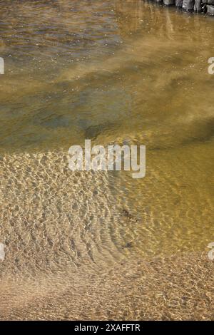 Sunlit ripples on the surface of shallow water in Boscastle harbour, seen at low tide, on the Atlantic coast of Cornwall, Great Britain. Stock Photo