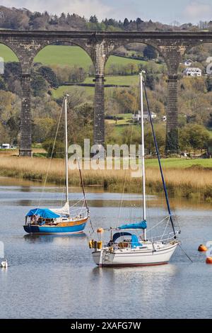 A 19th century railway viaduct crossing a river valley, over the River Tamar, at Calstock, near Gunnislake, Cornwall, Great Britain. Stock Photo