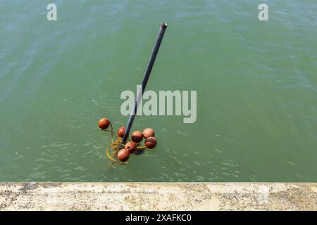 photo of a group of small orange buoys in green Adriatic sea water near a pier on sunny day Stock Photo